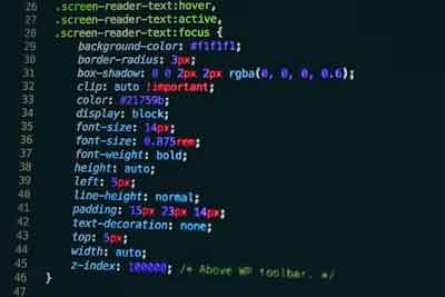 Web Design